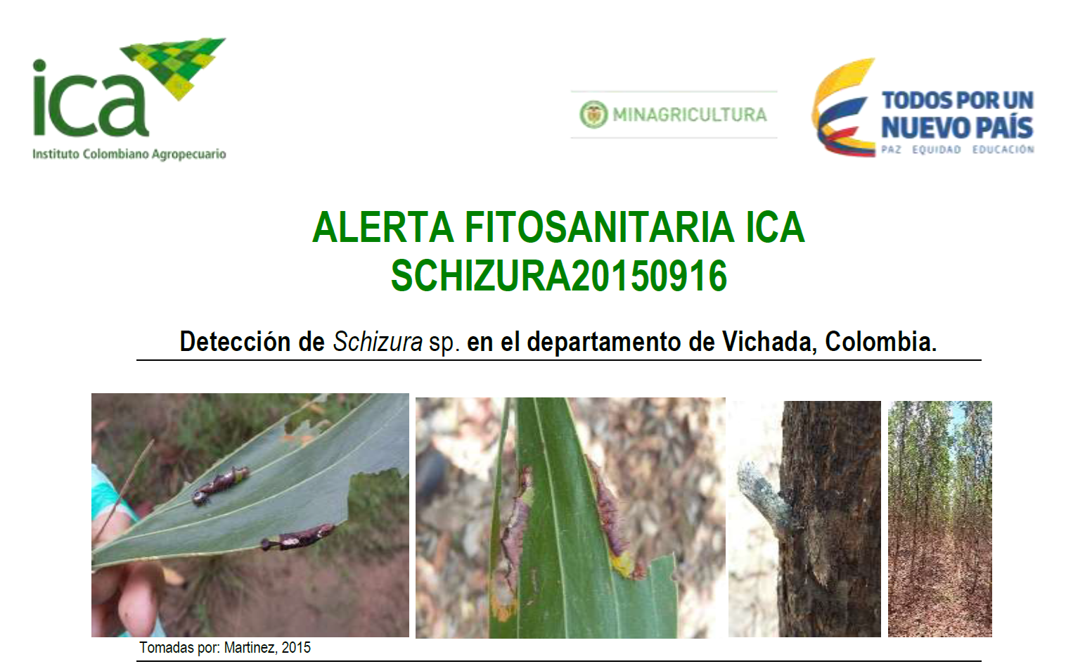 ALERTA FITOSANITARIA ICA SCHIZURA